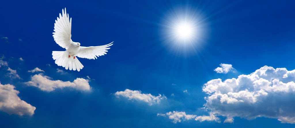 Tauffest an Himmelfahrt Infos